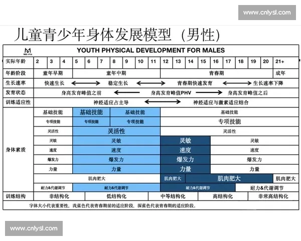 基于体育科学理论的青少年体能训练与运动表现协同发展研究